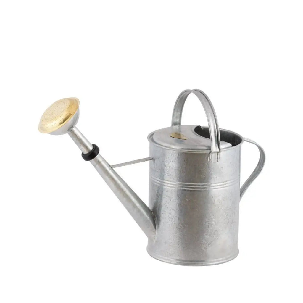 Zinc galvanized watering can