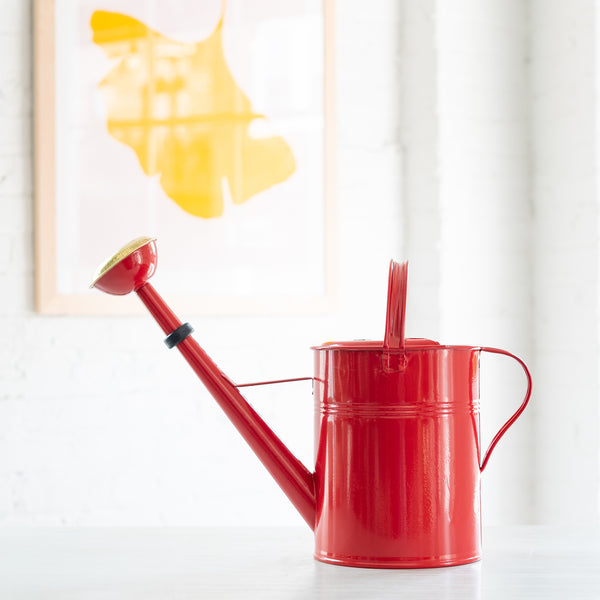 A red galvanized watering can made of metal, featuring a brass shower head and a spout, is displayed against a blurred background.