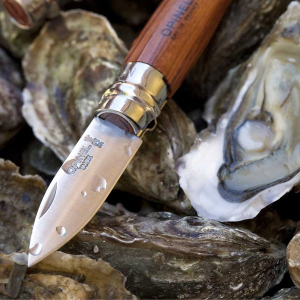 Oyster shucking knife with wooden handle on oysters