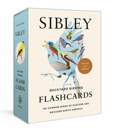 Box of Sibley Backyard Birding Flashcards with bird illustrations on a light blue and beige background