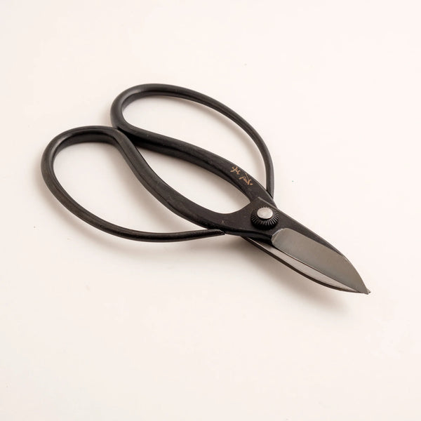 Black scissors with a silver blade on a white background