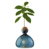 Blue glass vase with a plant growing out of it on a white background