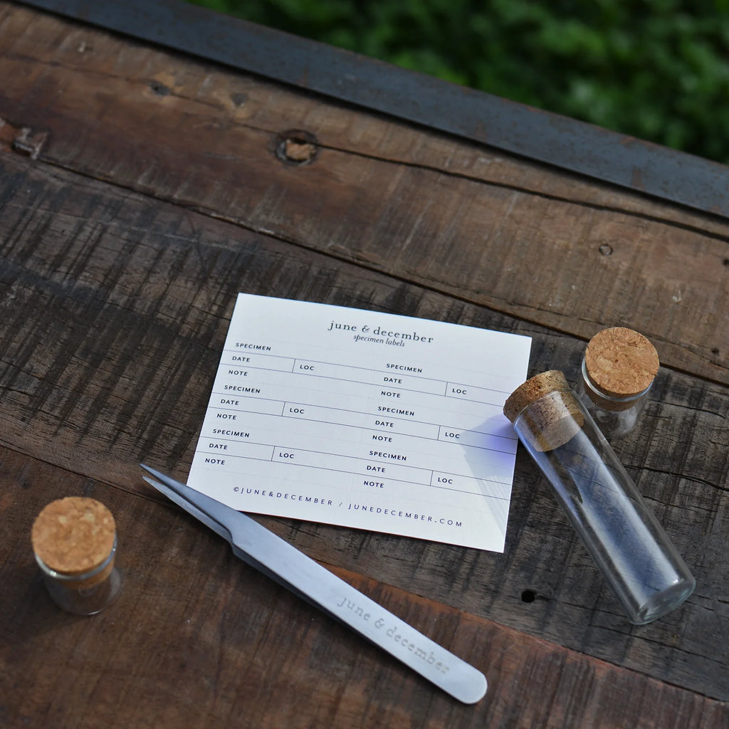 Notebook with a twizzer and small glass jars on a wooden surface