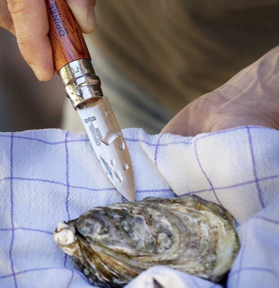 Oyster knife being used on an oyster with a checkered cloth background