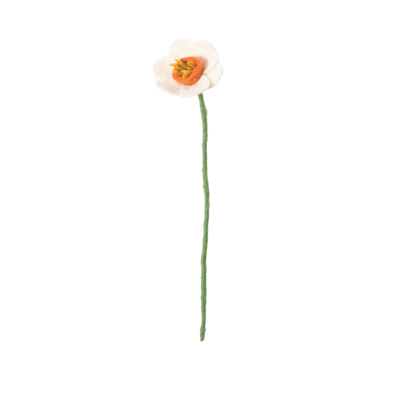 Single white flower with a green stem on a white background