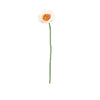 Single white flower with a green stem on a white background