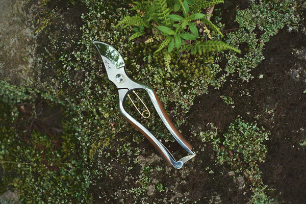 Gardening shears on a mossy surface