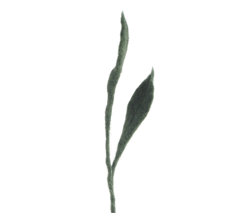 Felt plant stem with leaves on a white background