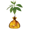 Amber glass vase with a plant growing out of it on a white background