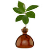 Brown glass vase with a small plant on a white background