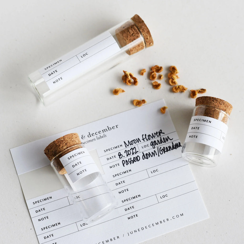 Small glass jars with cork lids on a white surface, featuring labels and dried flowers.