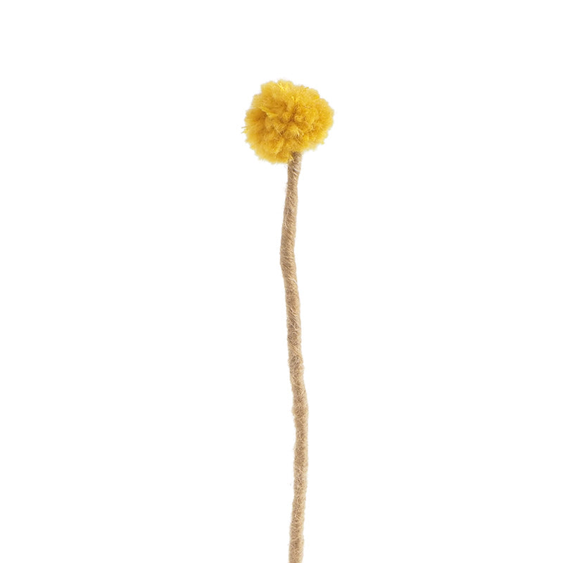 Yellow pom-pom felt flower on a wooden stick against a white background