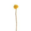Yellow pom-pom felt flower on a wooden stick against a white background